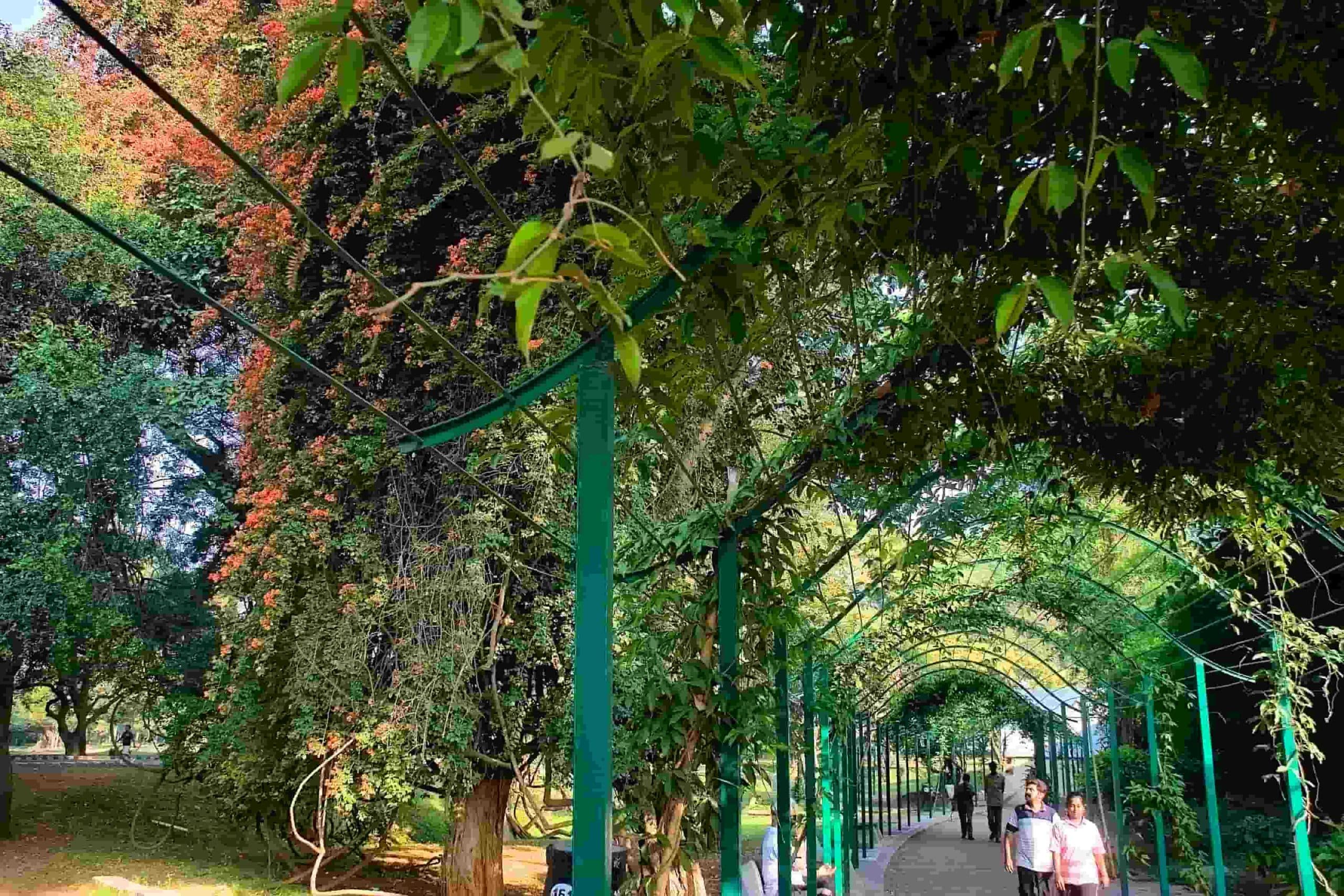 Lalbagh Botanical Garden