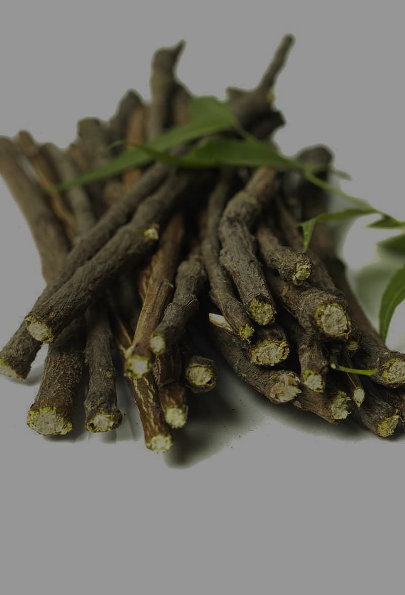 Ayurveda