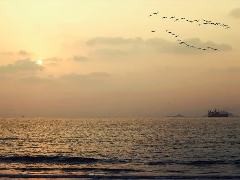 Karwar Beach