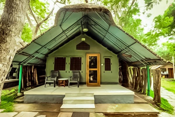 Kabini Backwaters Forest Safari