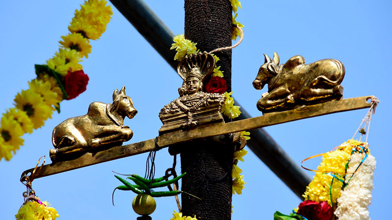 Sankranti Jatre